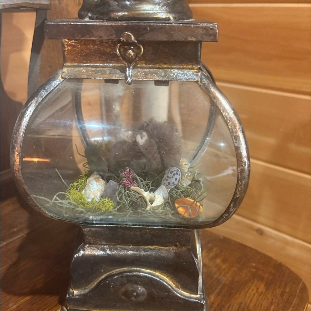 Decorative Glass Lantern with Alice In Wonderland Taxidermy Scene